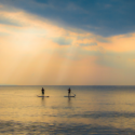 two people on paddle boards in the water