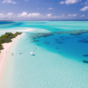 a beach with boats and trees