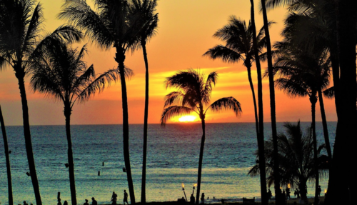 a sunset over the ocean with palm trees