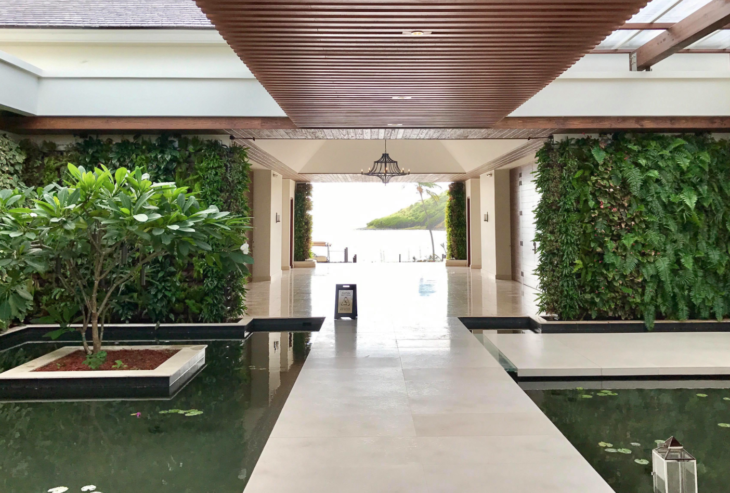 a walkway with water and plants