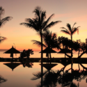 a pool with palm trees and umbrellas