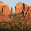 a red rock formations with trees with Cathedral Rock in the background