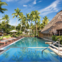 a pool with palm trees and a hut