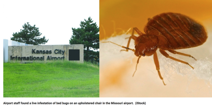 Yuck Bed Bugs Found In This Airport!