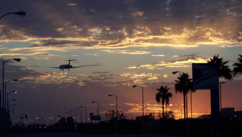 an airplane flying over palm trees