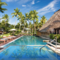 a pool with palm trees and a hut