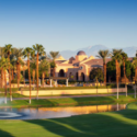 a golf course with a fountain and palm trees
