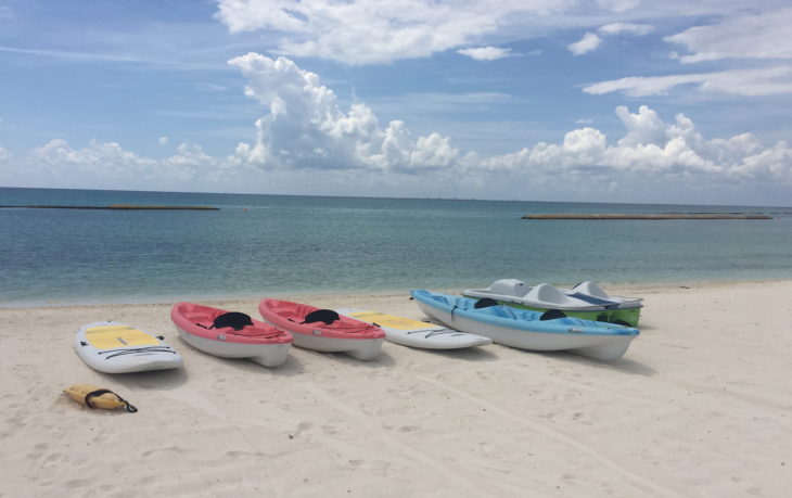 a group of kayaks on a beach