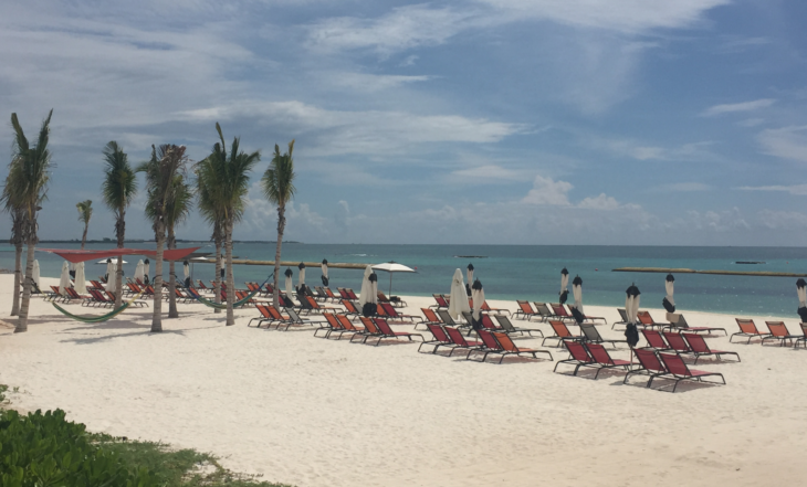 a beach with chairs and umbrellas