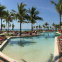 a pool with lounge chairs and palm trees