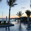 a pool with palm trees and a body of water