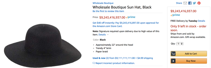 Unreal! Amazon Beach Sun Hat Only $9,243,416,937.00