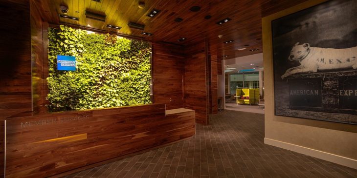 a green wall in a room