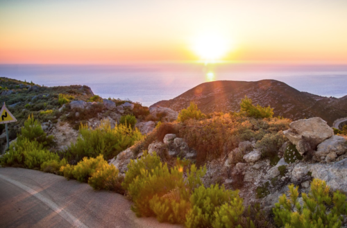 a road with bushes and rocks on the side of a hill