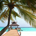 a dock with a hut and palm trees on a beach