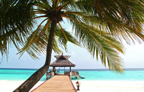 a dock with a hut and palm trees on a beach