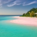 a beach with palm trees and blue water