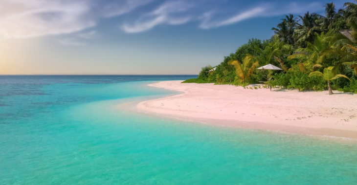 a beach with trees and blue water