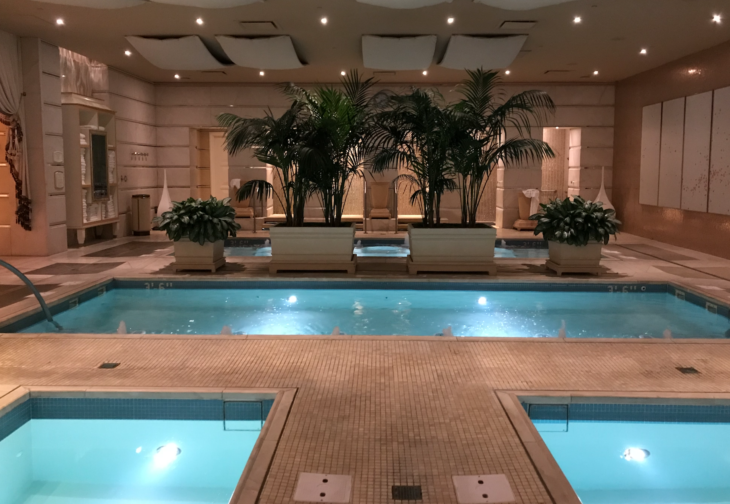 indoor swimming pool with plants and a large pool