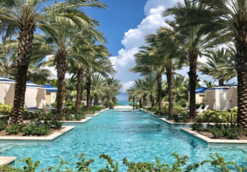 a pool with palm trees and a beach