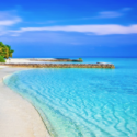 a beach with palm trees and blue water