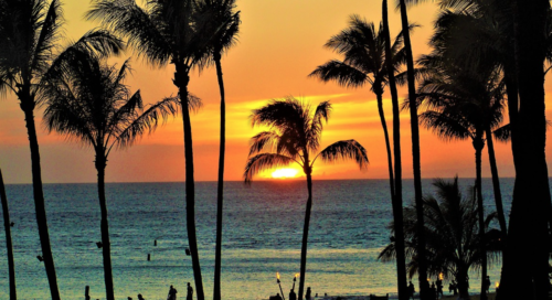 a sunset over a beach with palm trees