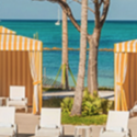 a beach chairs and trees by the water