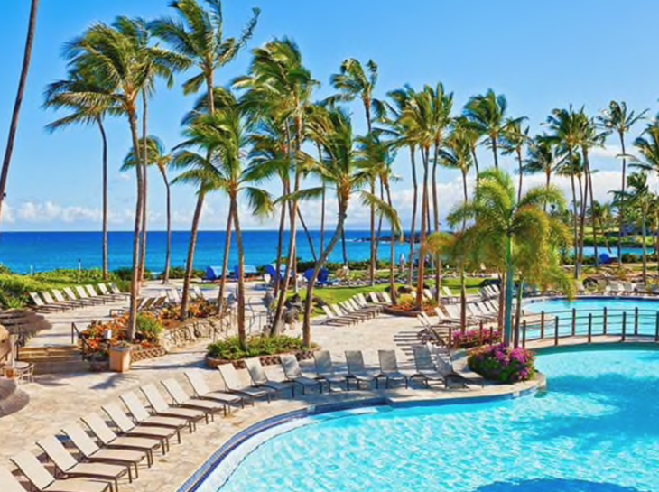 a pool with palm trees and chairs