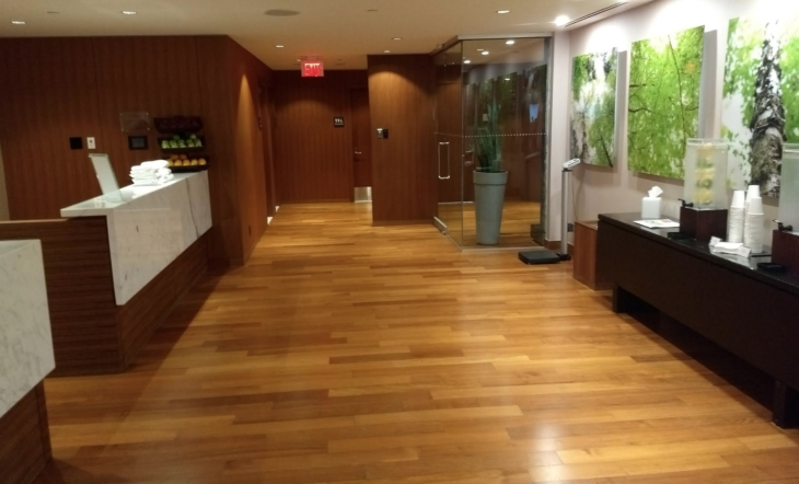 a wood floor with a glass door and a plant in front of it