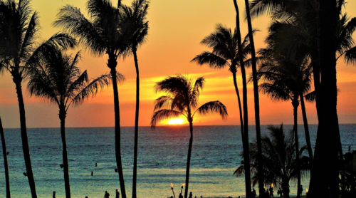 a sunset over a beach with palm trees