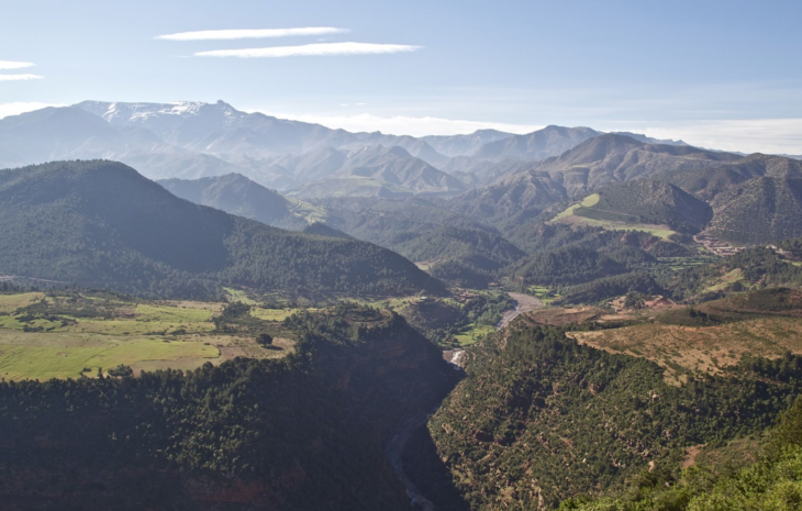 a valley with trees and mountains