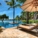 a pool with palm trees and chairs