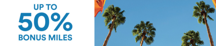 a palm tree with a flag