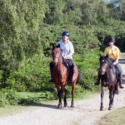 a man and woman riding horses on a path