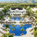 a swimming pool surrounded by palm trees