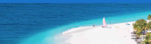 a group of people on a beach