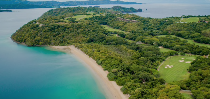 a beach with trees and water