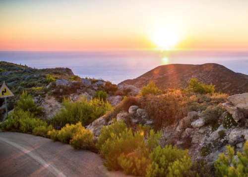 a road with bushes and rocks on the side