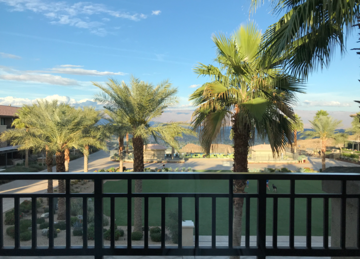 palm trees on a balcony