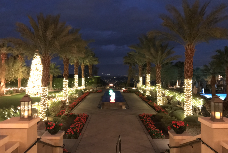 a walkway with palm trees and lights