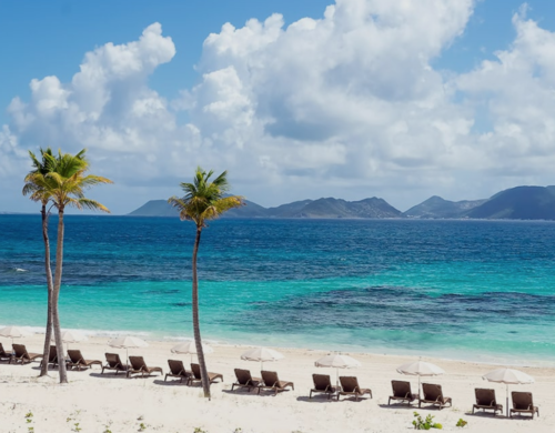 Reef Anguilla Beach View