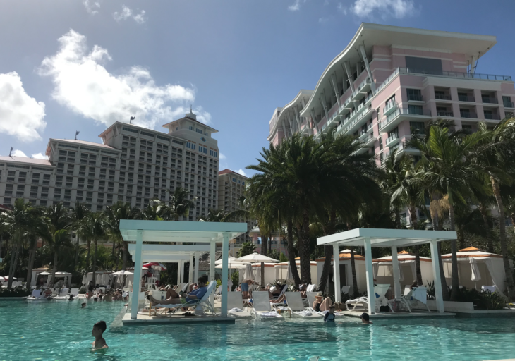 a pool with palm trees and people in it