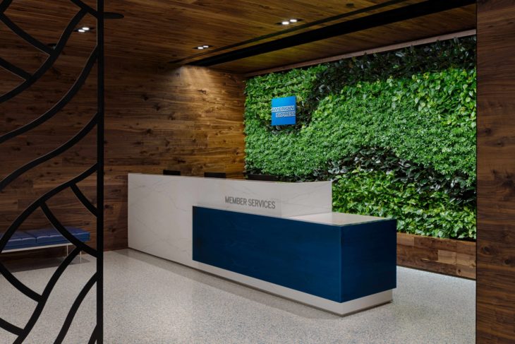 a reception desk in a room with plants on the wall