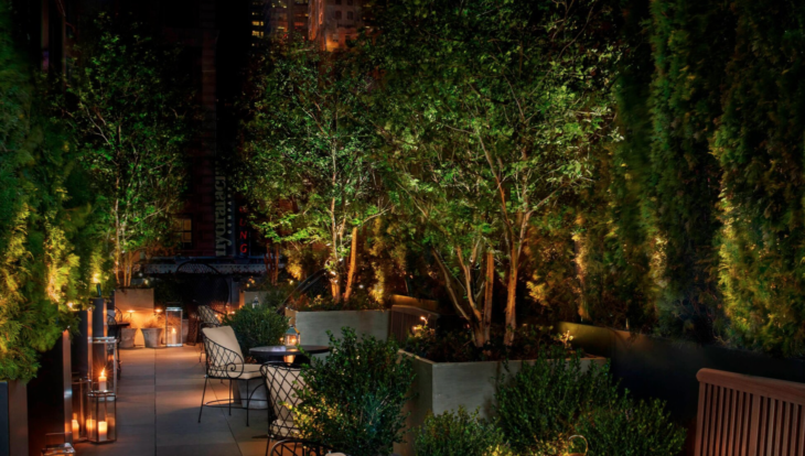 a patio with trees and chairs