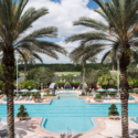 a pool with palm trees and a golf course