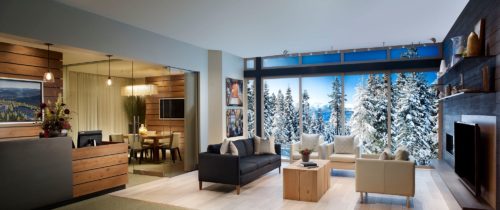 a living room with a view of snow covered trees