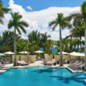 a pool with umbrellas and chairs and palm trees