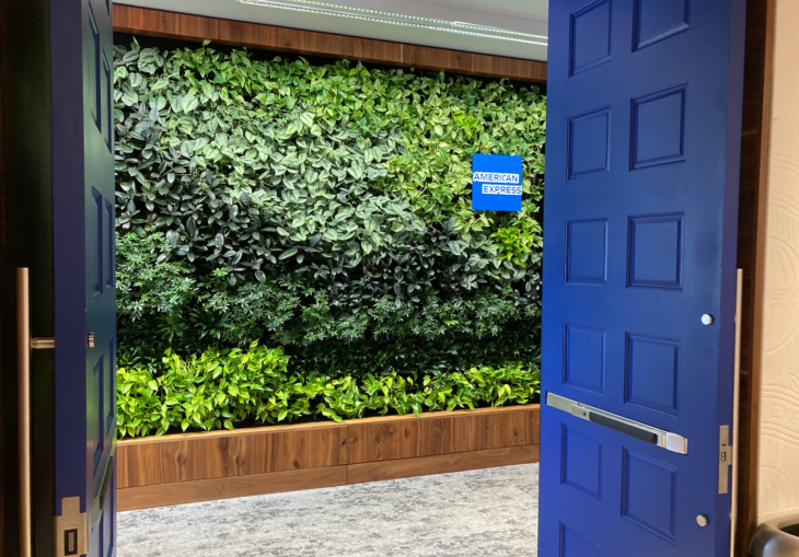 a blue door with a wall of plants