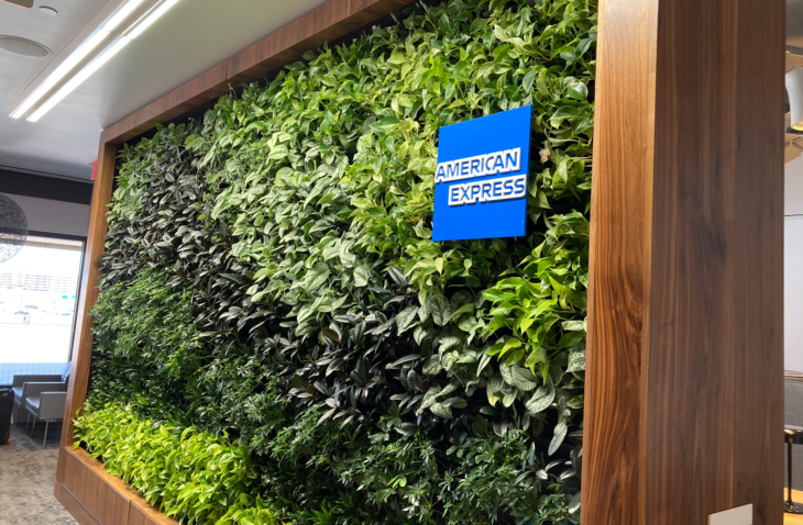a wall of plants with a blue sign