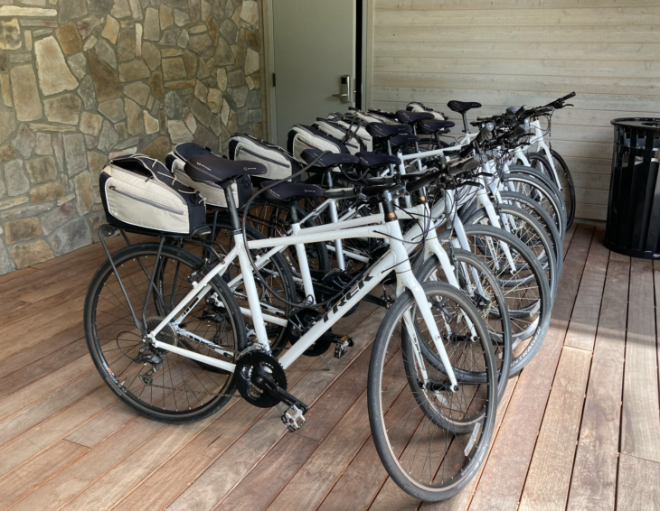 a group of bicycles parked in a row